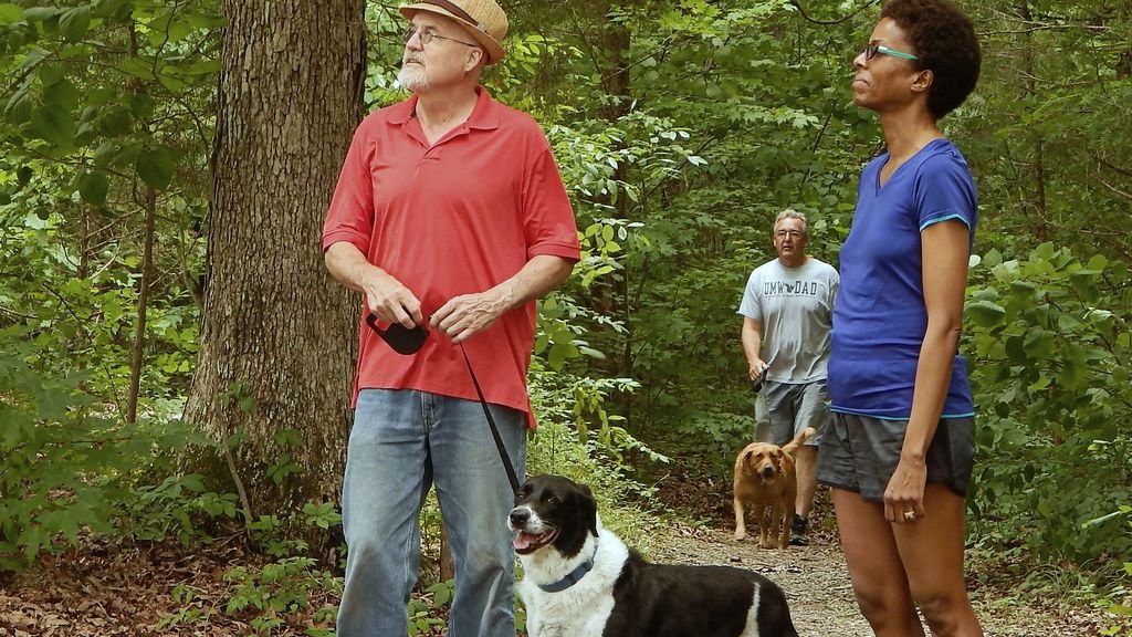 12 Unexpected Ways to Keep Your Dog's Mind Sharp and Happy