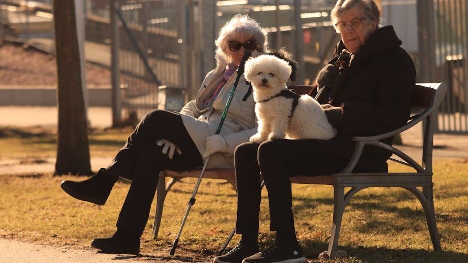 The Truth About Older Dogs: Why They Are the Best Companions for Seniors