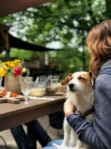 Dog cafes: How pet friendly should businesses be?