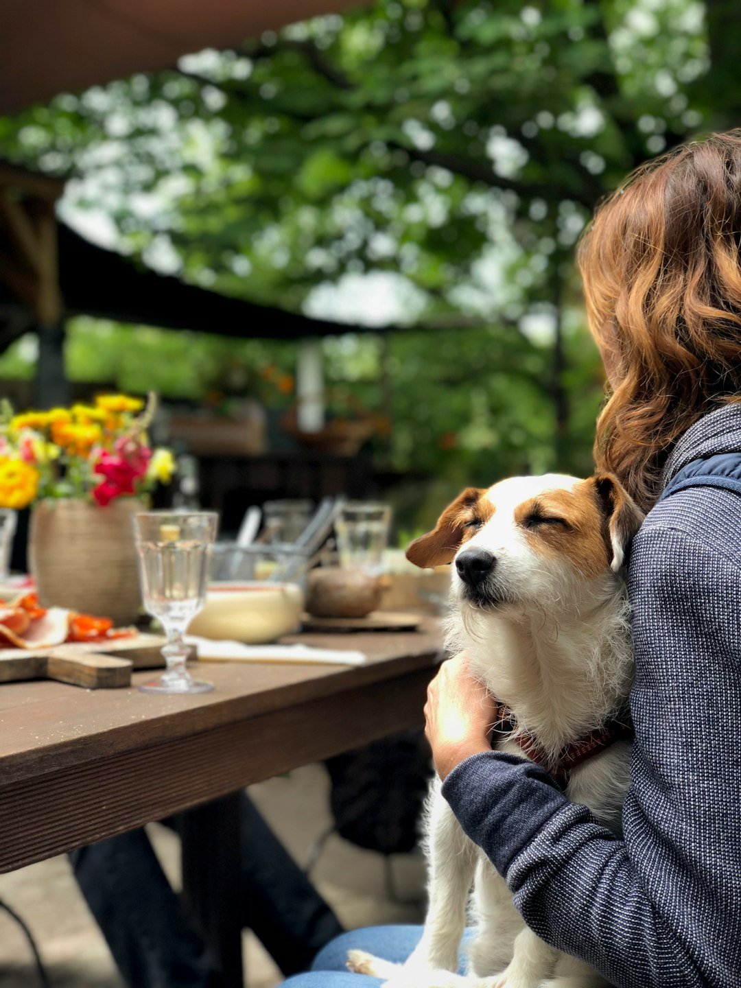 Dog cafes: How pet friendly should businesses be?