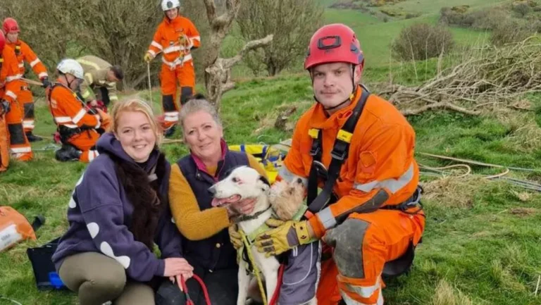 Firefighters Rescue Dog After It Plunged 66 Feet Off Cliff on Jurassic Coast