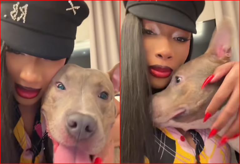 Megan Thee Stallion Adopts Dog from Kill Shelter Just Before He Was Scheduled To  Be Put Down: ‘My New Son’