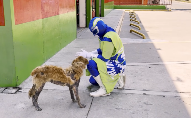 Caped Superhero Rescues Dog Everyone Called a Werewolf