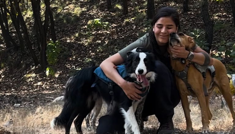 Woman’s Bike Ride Changes Forever When She Meets Abandoned Puppies
