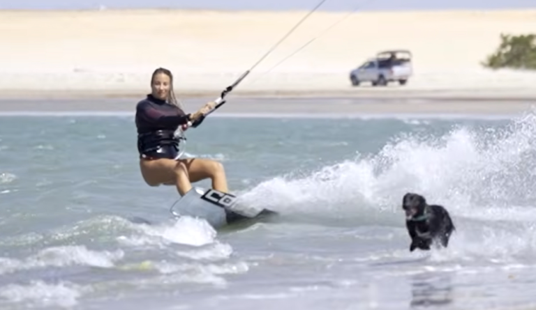 Dog Cries to Go Kitesurfing With Mom