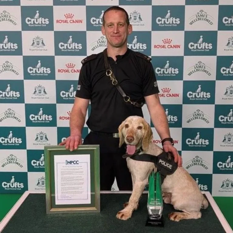 K9 Cocker Spaniel Wins Crufts Award  for Locating Man Missing 17 Days
