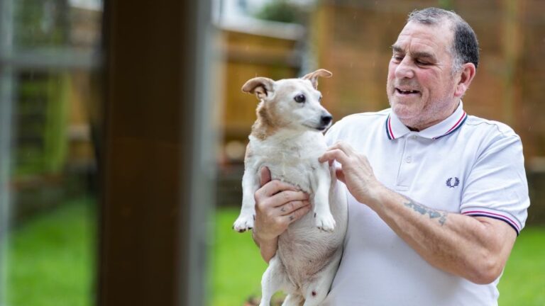 Do Dogs Forgive You for Yelling at Them?