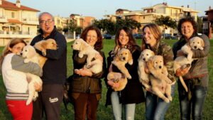 12 Dog Breeds With the Worst Behavior Problems (Plus 6 That Are Naturally Calm)