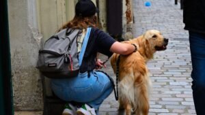 10 Ways Dogs Express Love One Last Time Before They Cross The Rainbow Bridge