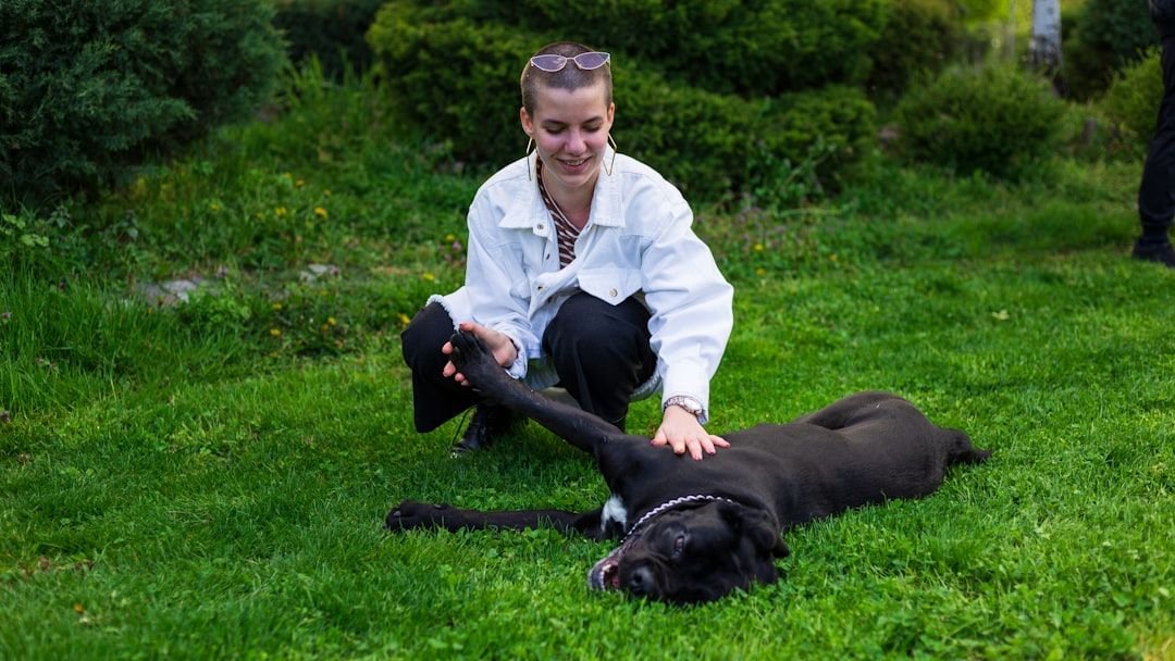 8 Smart Ways to Prepare Your Home for a New Dog (Especially if You're a First-Timer)