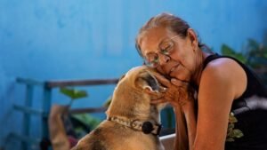 10 Surprising Benefits of Adopting a Senior Dog (And How They Enrich Your Life)
