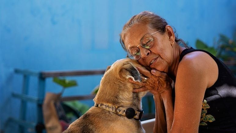 10 Surprising Benefits of Adopting a Senior Dog (And How They Enrich Your Life)