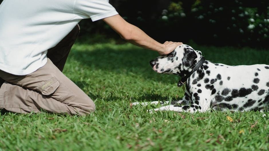 How Dogs Decide Who They Trust (And Who They Don't)