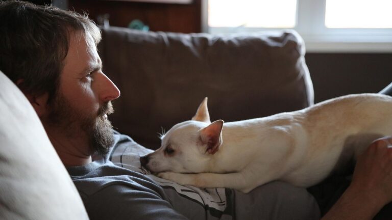 8 Small Things Your Dog Waits For All Day