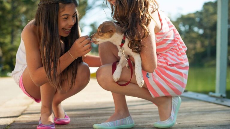What Makes Dogs Happy? The Simple Truth Will Surprise You