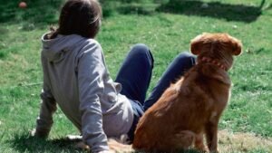 12 Everyday Habits That Strengthen Your Dog's Trust in You