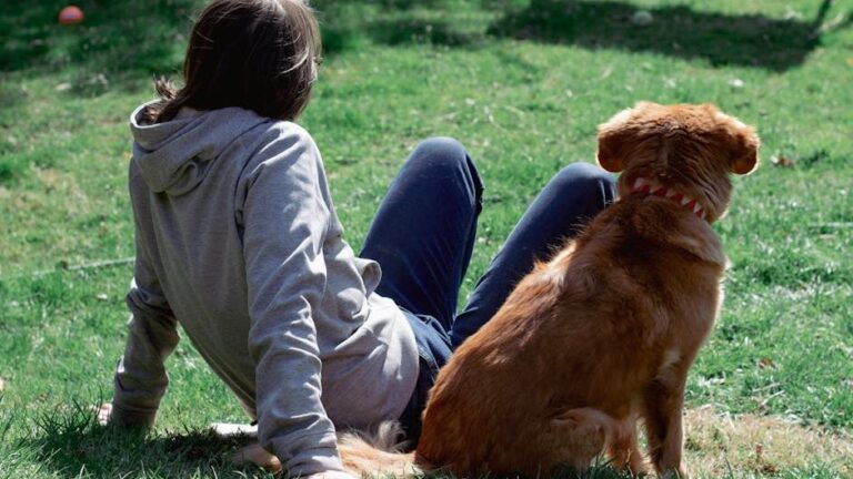 12 Everyday Habits That Strengthen Your Dog's Trust in You