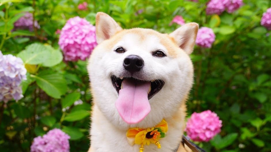 10 Common Toxic Plants in Your Garden That Could Harm Your Furry Friend