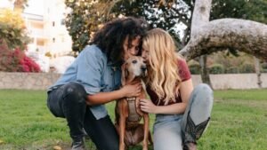 Why Some Dogs Stay Loyal No Matter What Changes Around Them