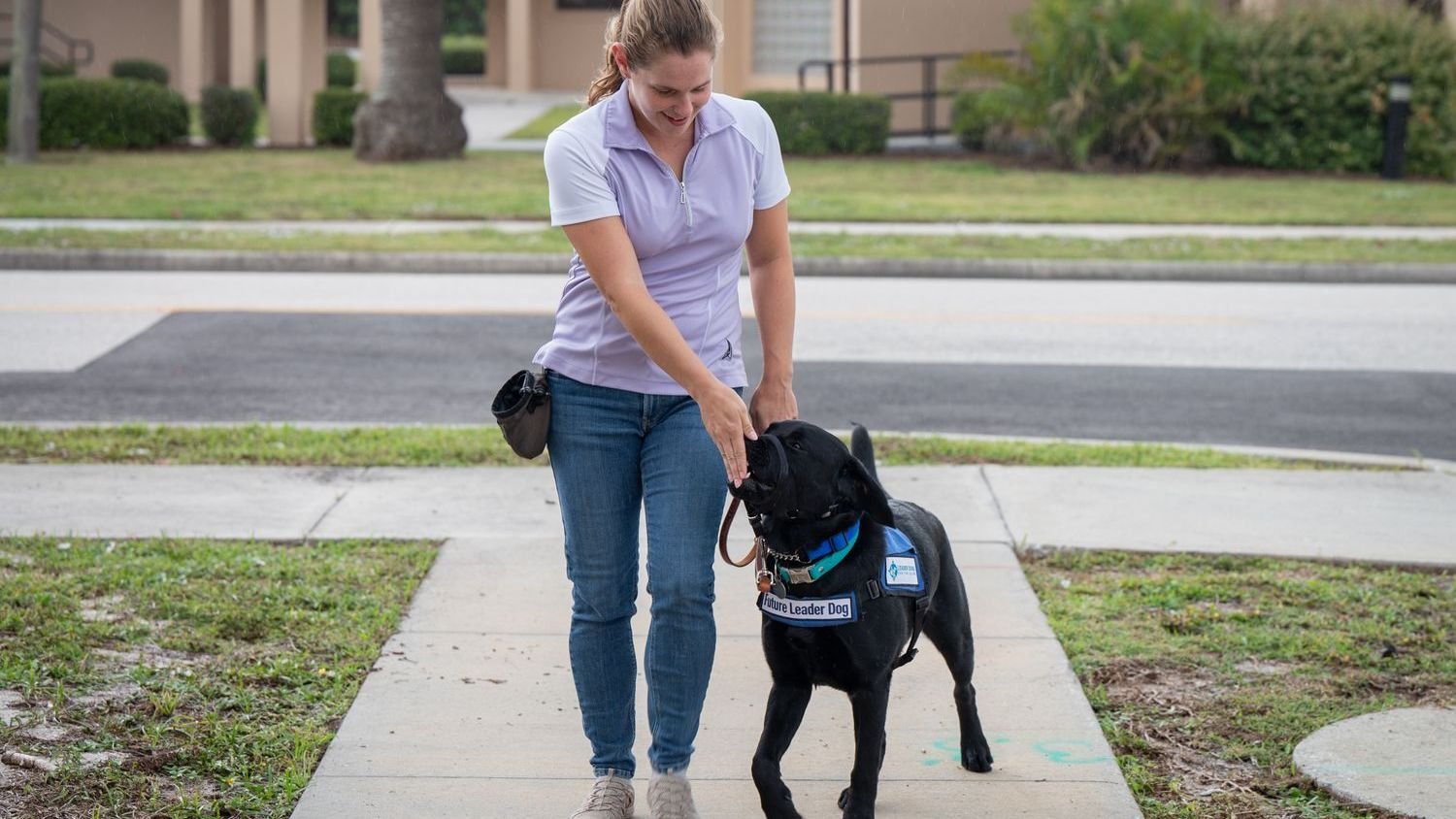 Stop Believing These Myths About Training Older Dogs – They're Ready!