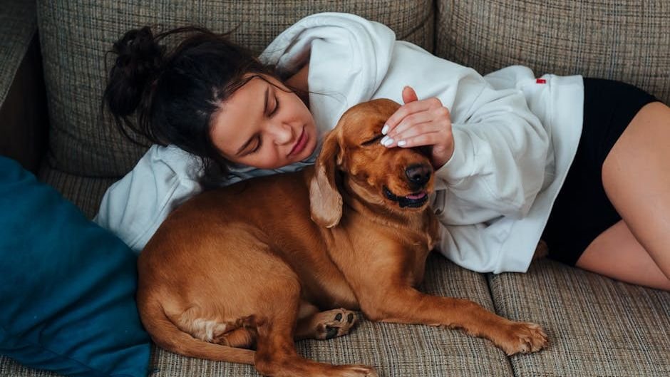 It's Not Just Love – Your Dog Truly Depends on You for Confidence