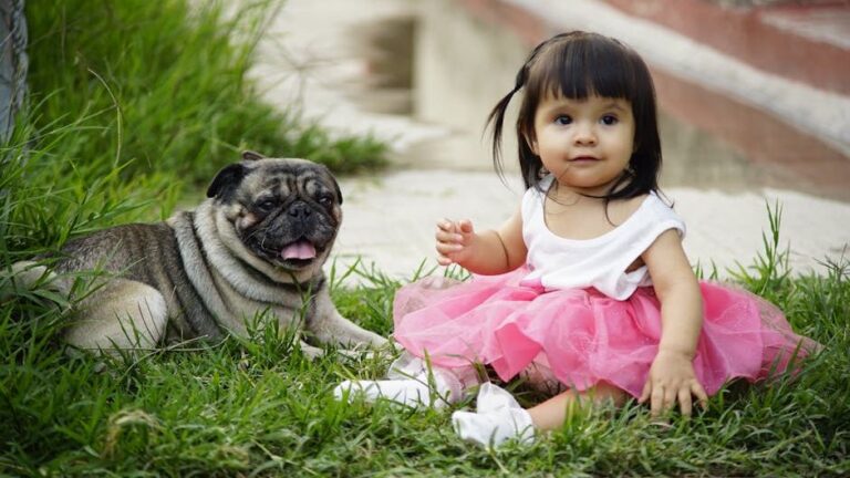 7 Dog Breeds That Are Surprisingly Good with Grandchildren (And Why They Excel)