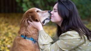 11 Dog Breeds That Love to Cuddle (And Make the Best Lap Warmers)