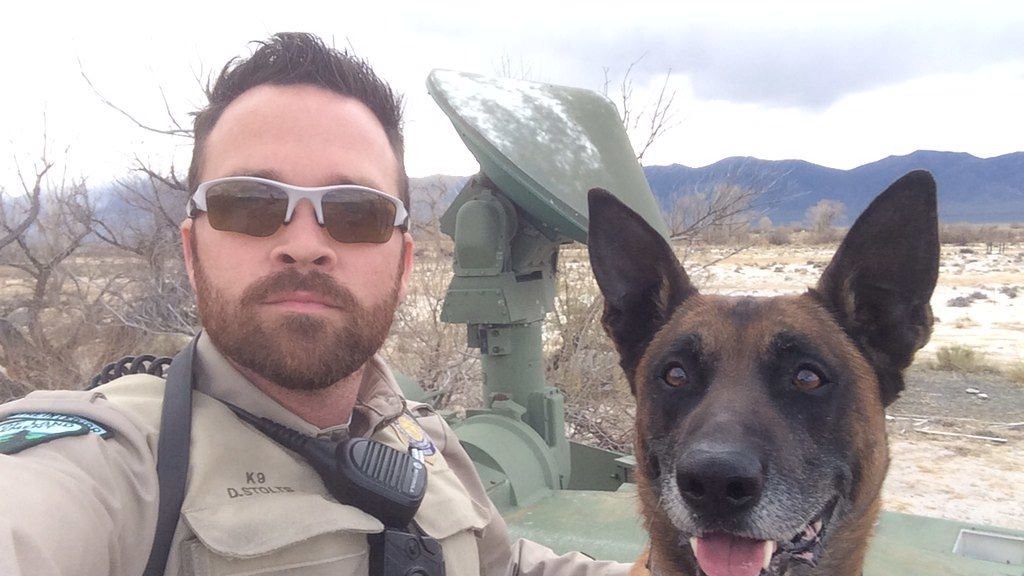 Your Scent Is a Powerful Comfort for Your Dog, Especially When You're Not Around