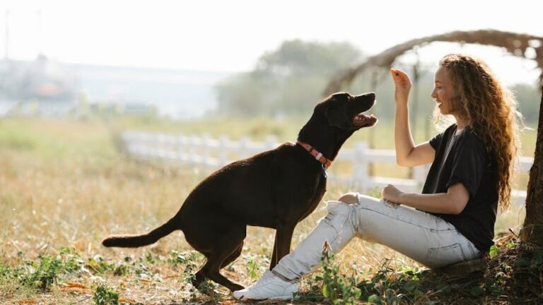 Building Trust with Your Dog Is a Daily Process, Nurtured Through Consistent Positive Interactions