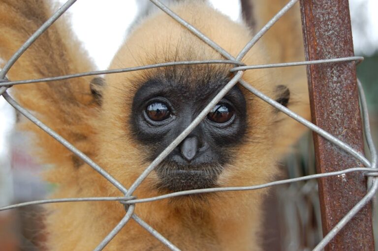 Mass. man gets 8 months for trafficking endangered wildlife