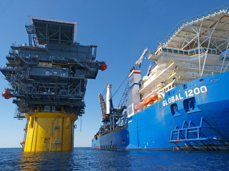 U.S. exempts oil industry from protecting Gulf animals, for 'national security'