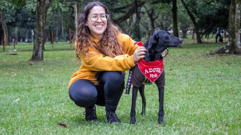 The Joy a Rescue Dog Brings Is Immeasurable, Transforming Both Their Life and Yours