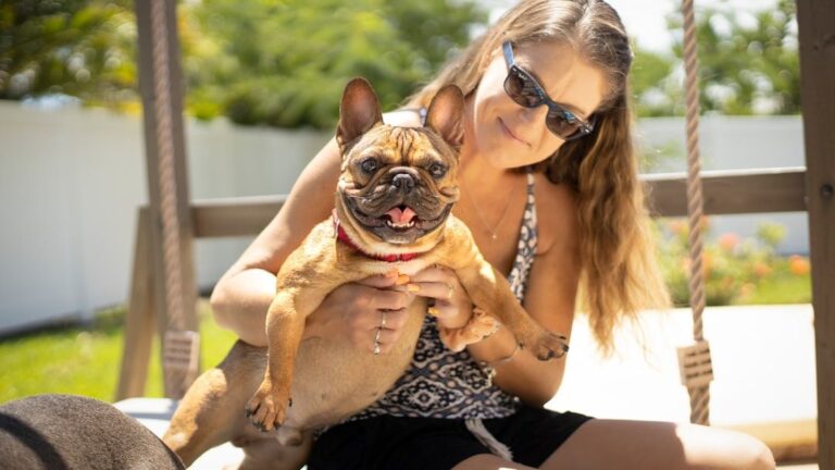 12 Easy Ways to Make Your Home More Dog-Friendly and Comfortable