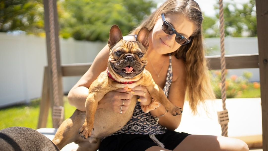 12 Easy Ways to Make Your Home More Dog-Friendly and Comfortable