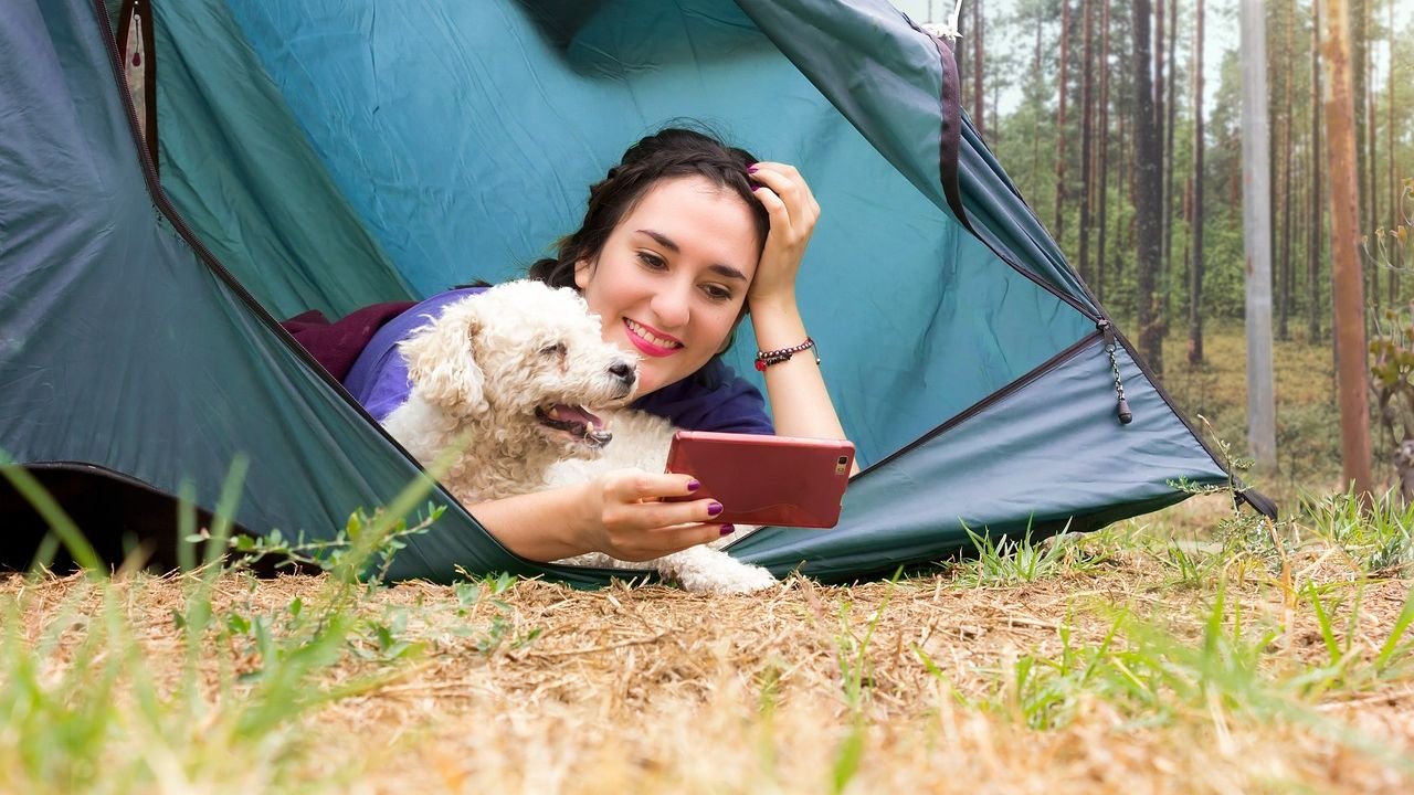 9 Fun Outdoor Activities You Can Enjoy with Your Dog This Season