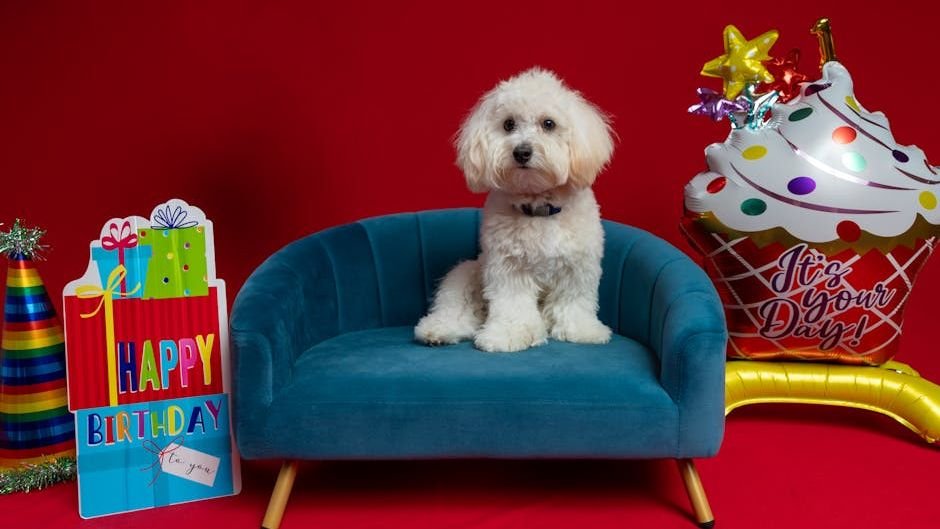 7 Creative Ways to Celebrate Your Dog's Birthday or Adoption Day