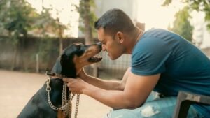 Stop Coddling: Why Your Dog Needs Rules More Than You Think