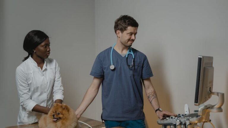 Could Your Dog Be Experiencing Undetected Discomfort? Signs to Watch For
