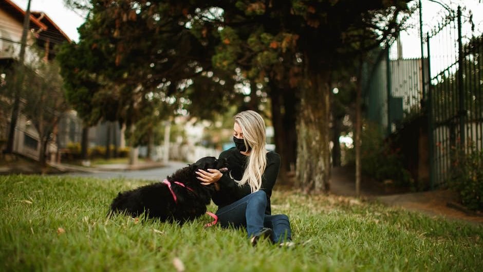 Is Your Home Truly a Haven for Your Dog? A Pet-Friendly Checklist