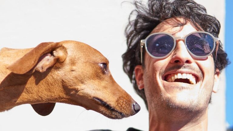 12 Heartwarming Gestures That Show Your Dog's Undying Loyalty