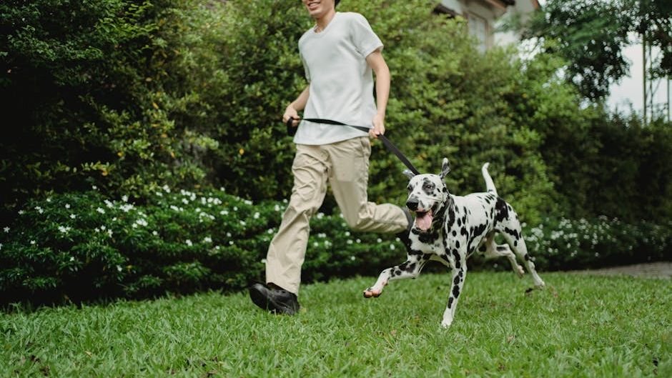 10 Playful Dog Breeds That Are Always Up for a Game (Even as They Age!)