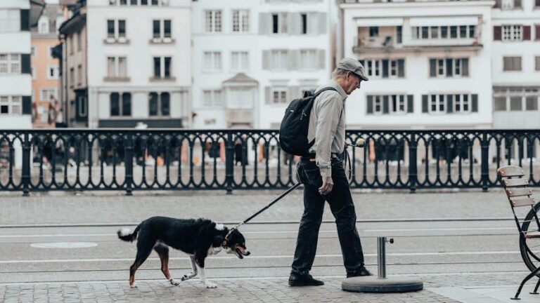 Stop Believing These 5 Outdated Myths About Senior Dogs – They're Still Pups at Heart!