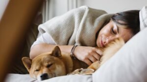 10 Quiet Clues Your Dog Is Dreaming About You (And Your Adventures Together)
