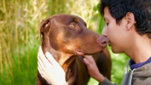 10 Dog Behaviors That Prove They Really Do Understand Everything You Say