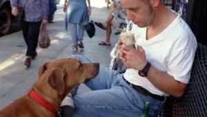 Why Do Dogs Stare at Us While They Eat? The Answer Might Melt Your Heart