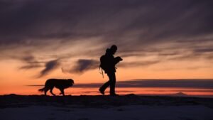 7 Overlooked Safety Tips That Could Save Your Dog's Life During Outdoor Adventures