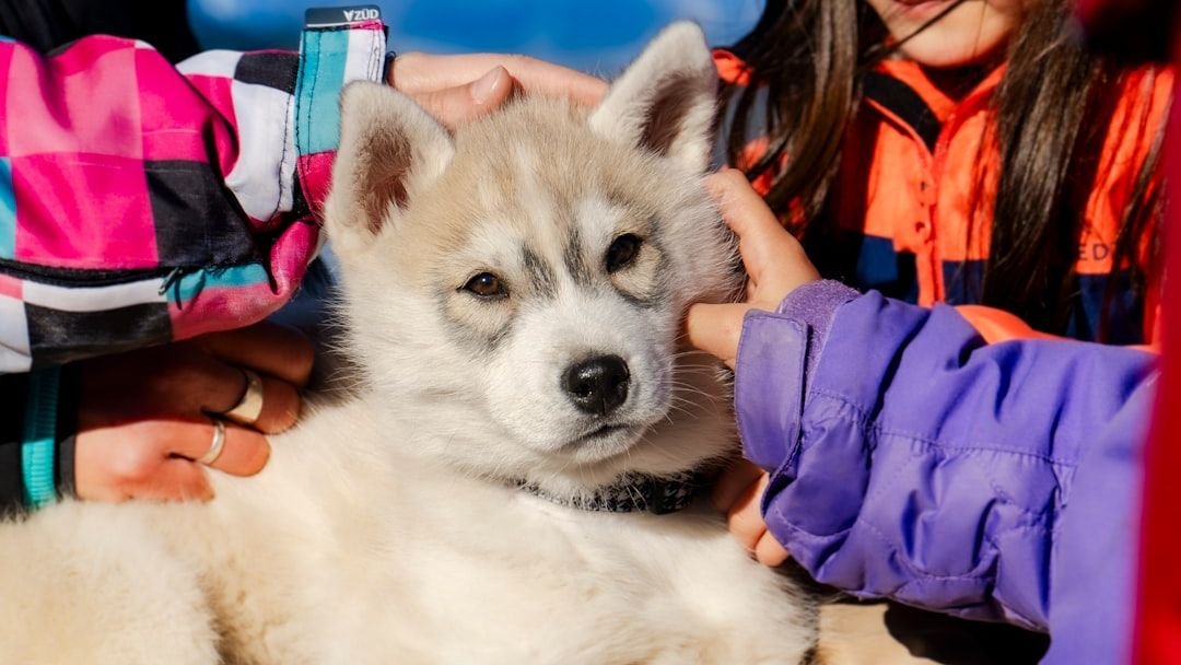 10 Dog Breeds That Are Surprisingly Good with Kids and Grandkids