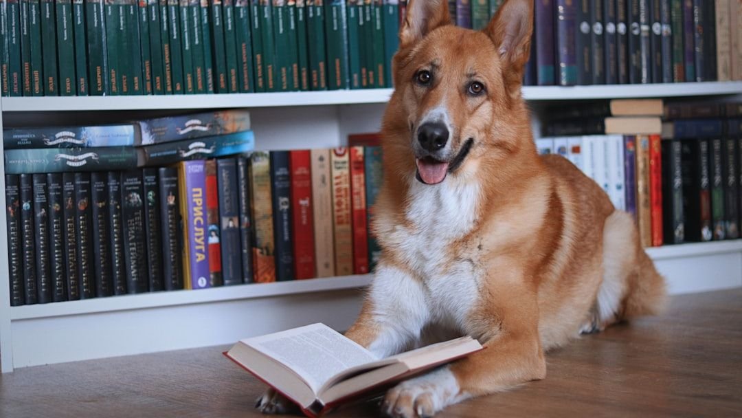8 Signs Your Dog Might Be a Little Too Smart for Their Own Good (in a Fun Way!)