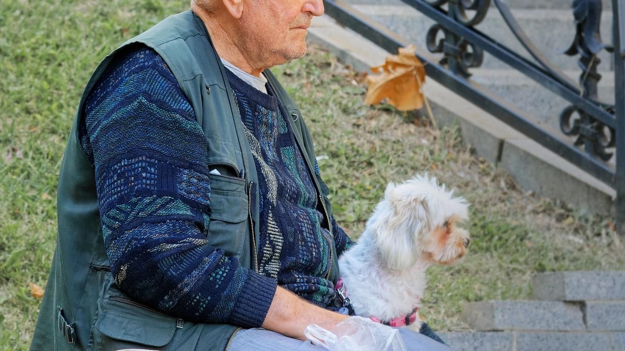 Why Do Some Dogs Act Like Perpetual Puppies, Even When They're Older?