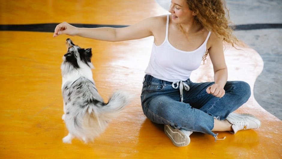 8 Creative Ways to Make Your Dog's Walk More Exciting and Engaging